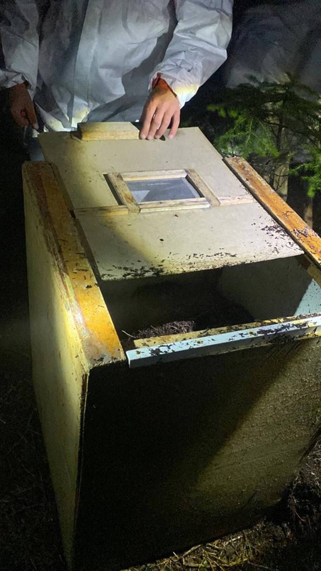 Orman yangınlarından sonra şimdi de 'dumansız yangın' paniği! On binlercesi doğaya salındı 12